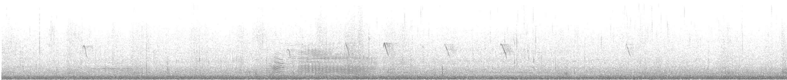 California Gull - ML622894217