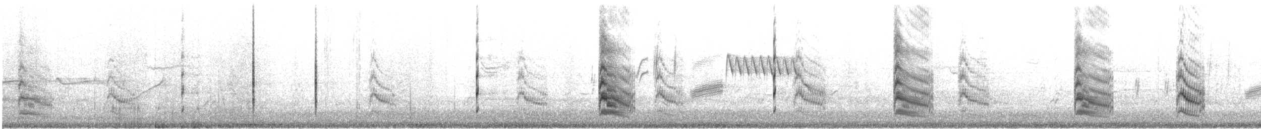 Forster's Tern - ML622895083