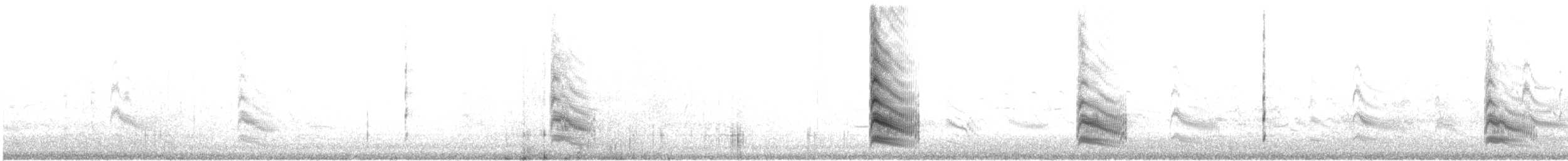 Forster's Tern - ML622895163