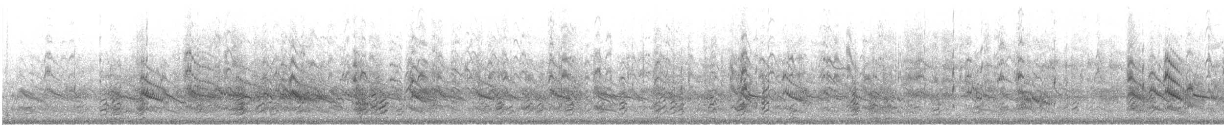 Forster's Tern - ML622895164