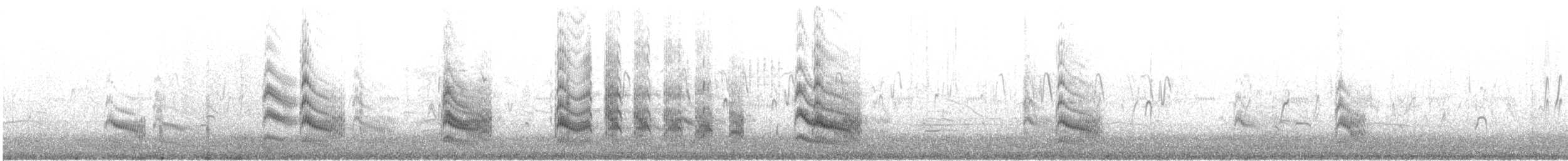 Forster's Tern - ML622895763