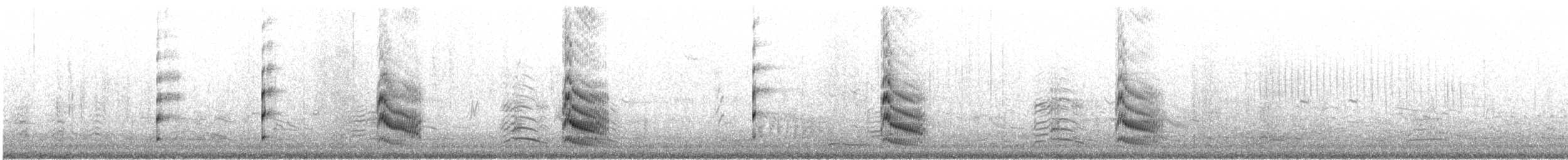 Forster's Tern - ML622895785