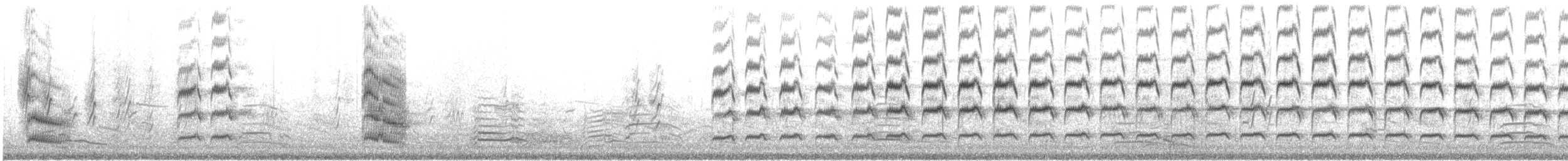 Forster's Tern - ML622895795