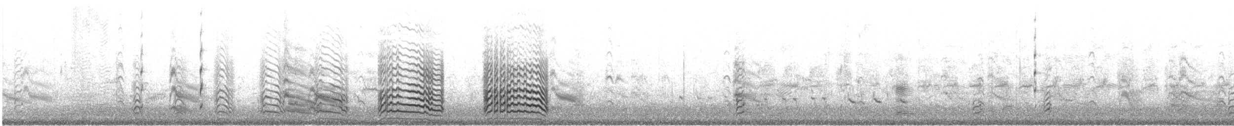 Black Skimmer - ML622896058