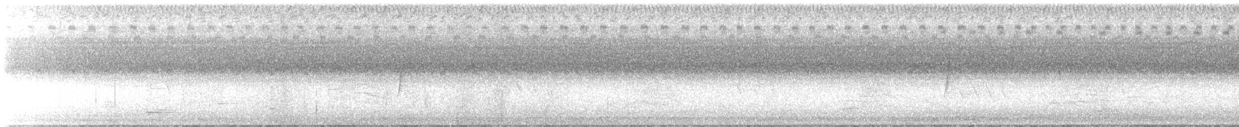 Buchenschnäppertyrann - ML622896567