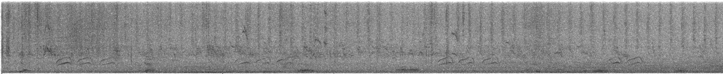 Оронгийн бор шувуу - ML622901317