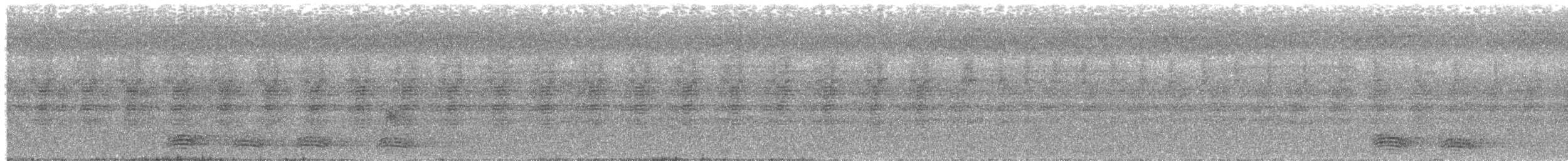 Corvus sp. (crow sp.) - ML622908850