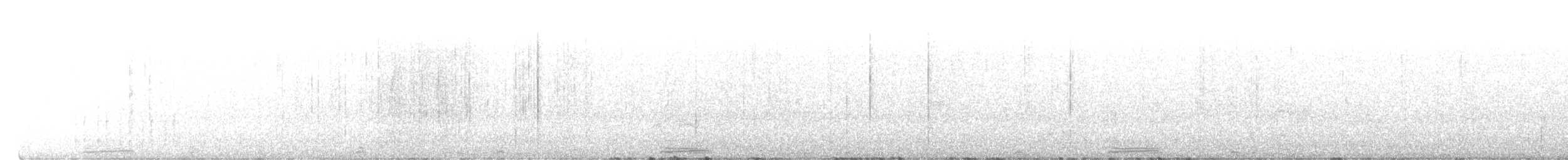 Turquoise-browed Motmot - ML622928693