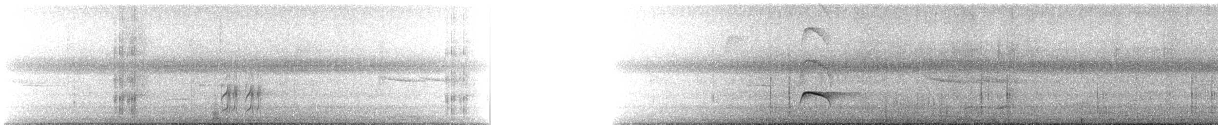 Nutting's/Salvadoran Flycatcher - ML622935409