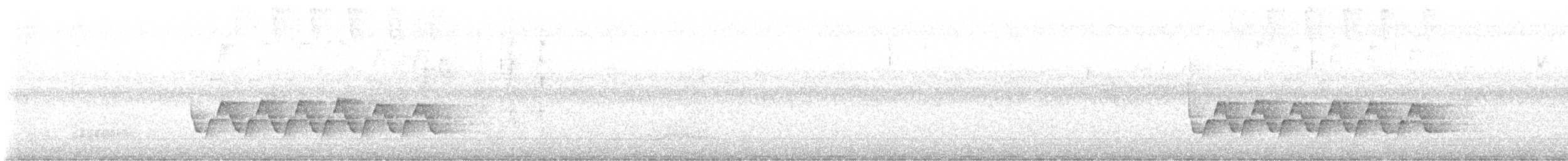 チャバラマユミソサザイ - ML622939594