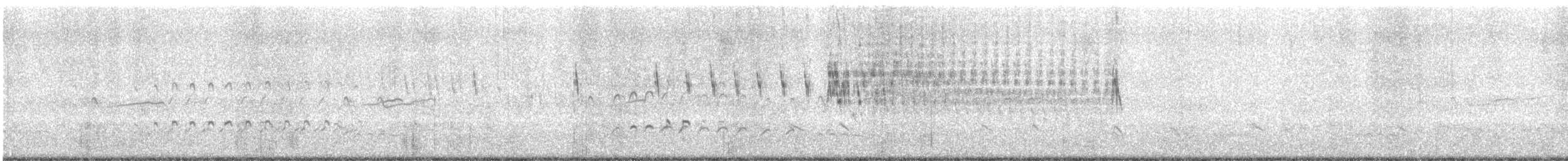 Peruvian Pipit - ML622945390
