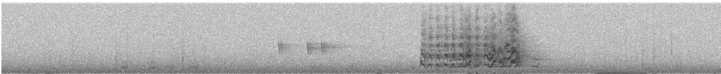 ズアカウロコインコ - ML622945937