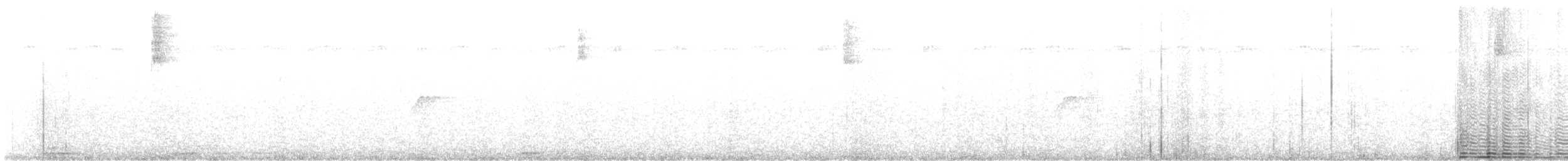 Moucherolle tête-fou - ML622952372