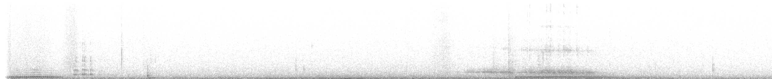 Little Penguin - ML622955041