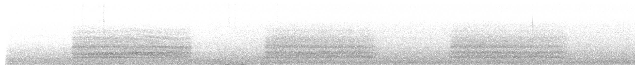 Western Barn Owl - ML622955267