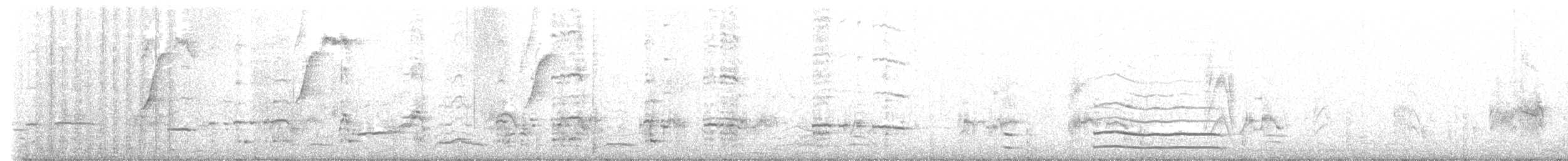 Pied Cormorant - ML622955353