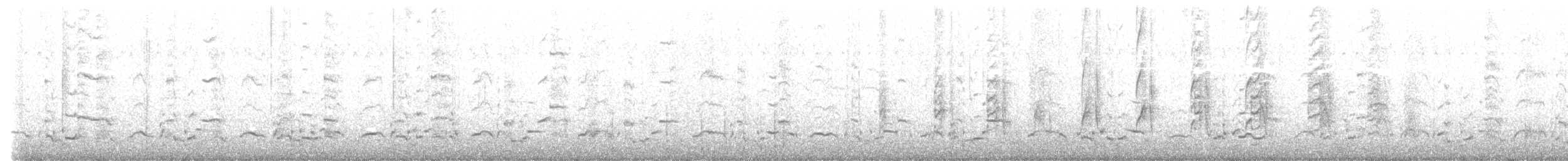 Pied Cormorant - ML622956140