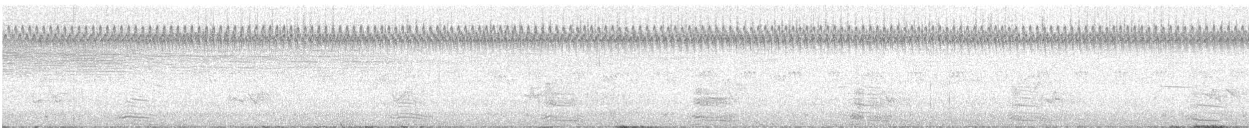 Great Black-backed Gull - ML622963427