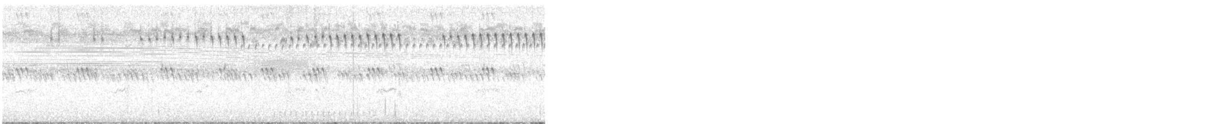 Double-crested Cormorant - ML622963446