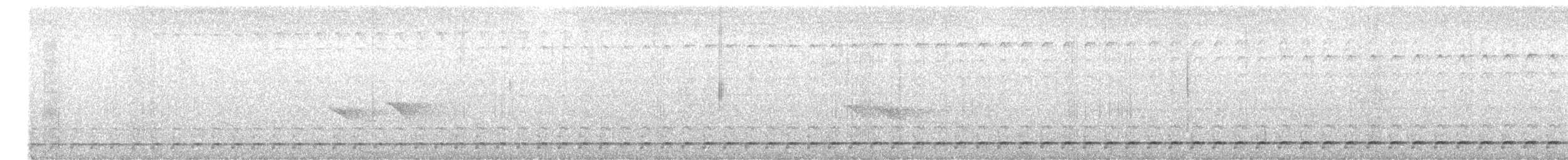 Schwartz's Antthrush - ML622973679