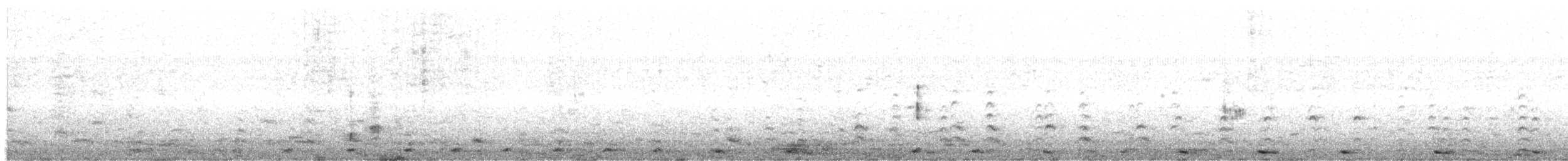 White-winged Coot - ML622975679