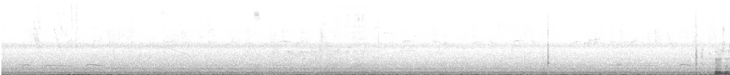 Little Woodstar - ML622977387