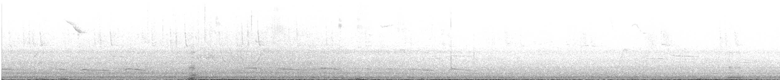 Little Woodstar - ML622977450