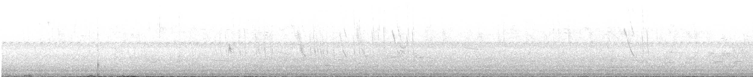 Little Woodstar - ML622977475