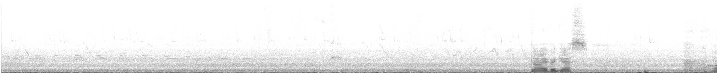 Little Woodstar - ML622977476