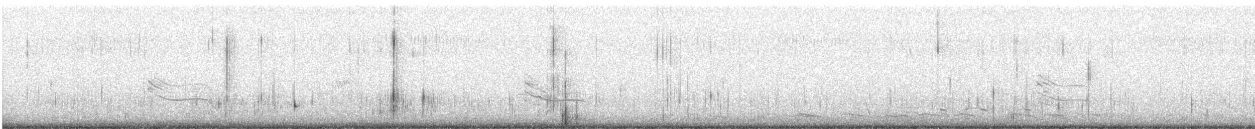 Clapper Rail - ML622979273