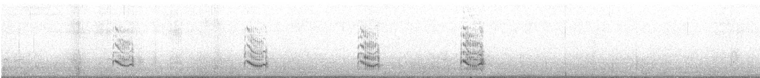 Royal Tern - ML622980035