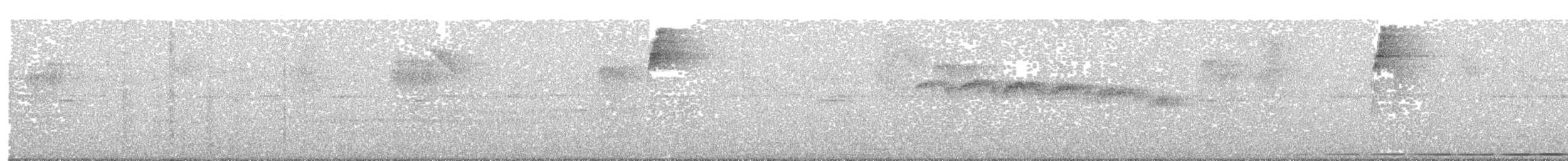 Variegated Antpitta - ML622980385