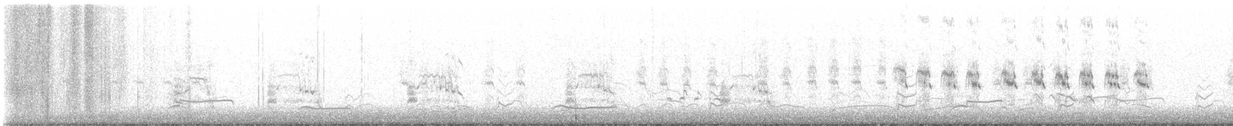 Forster's Tern - ML622997387