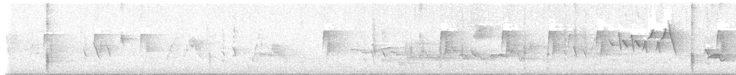vireo sp. - ML622997432