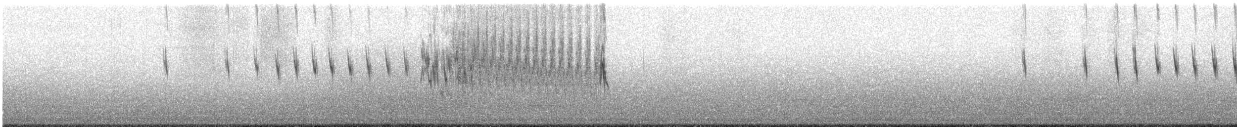 Peruvian Pipit - ML622999498