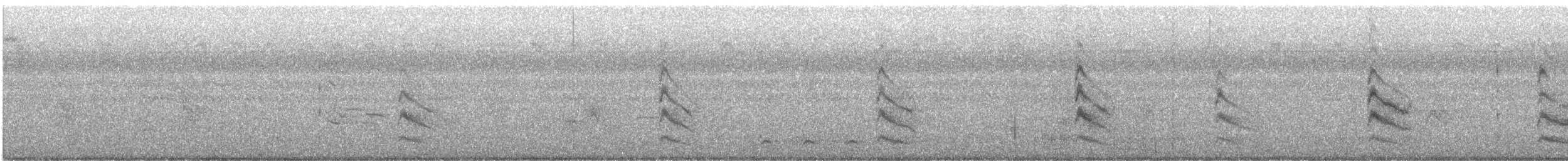 メリケンアジサシ - ML623001841