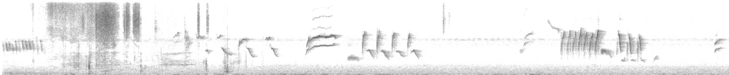 Bewick's Wren - ML623006718