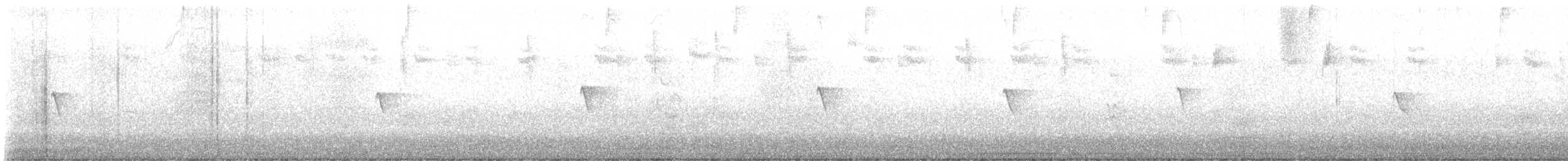 Black Phoebe - ML623009542