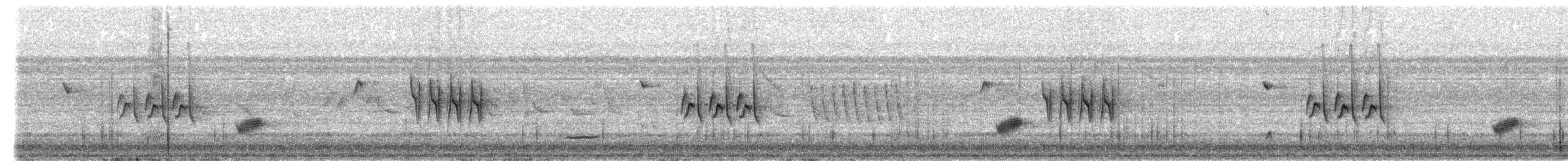 Wedge-tailed Grass-Finch - ML623010335