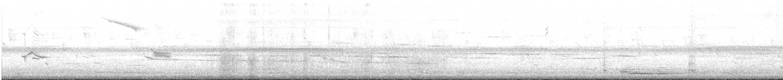 Slender Sheartail - ML623012954