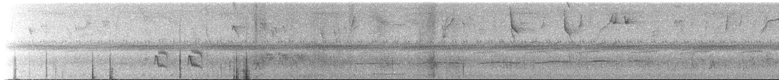 ズキンヒメアリサザイ - ML623013047