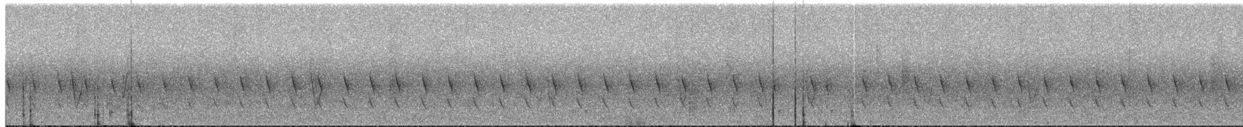 ズキンヒメアリサザイ - ML623013048