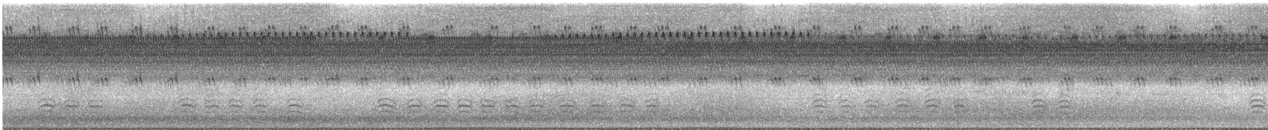 White-breasted Nuthatch - ML623013558