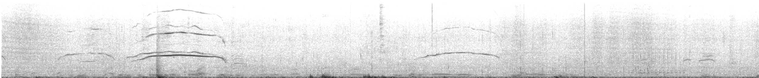 Black-footed Albatross - ML623014515