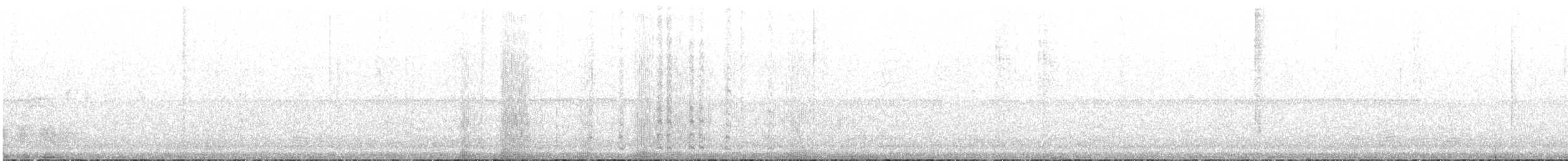 Sparkling-tailed Hummingbird - ML623014973