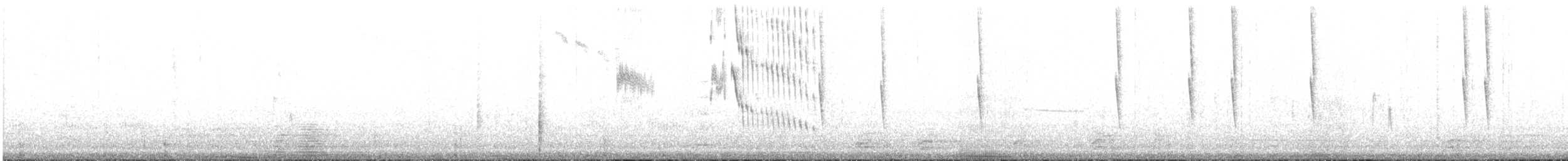 Slender Sheartail - ML623015047