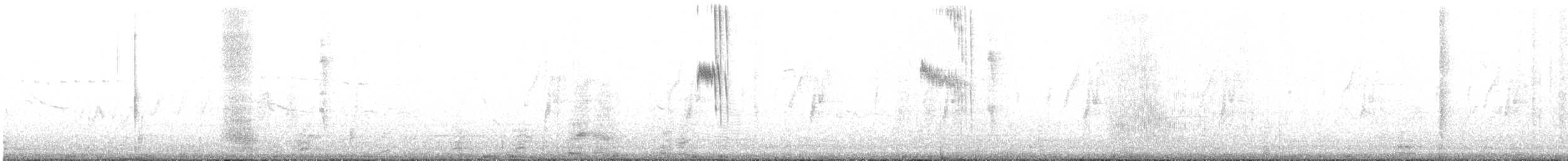 Slender Sheartail - ML623015048