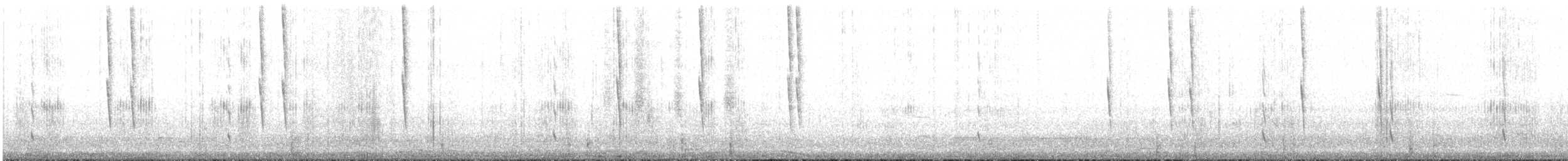 Slender Sheartail - ML623015049