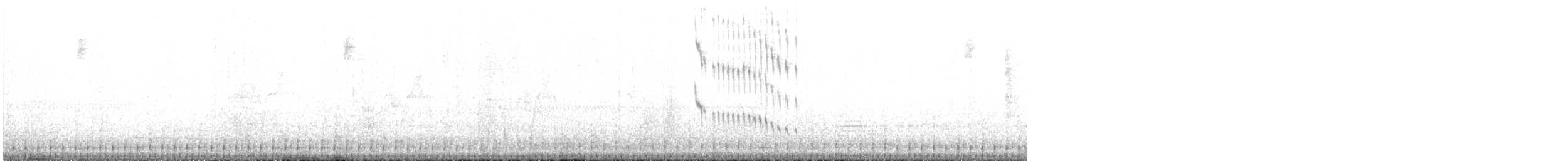 Slender Sheartail - ML623015075