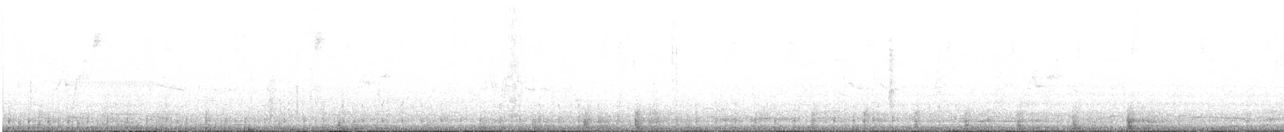 Slender Sheartail - ML623015078